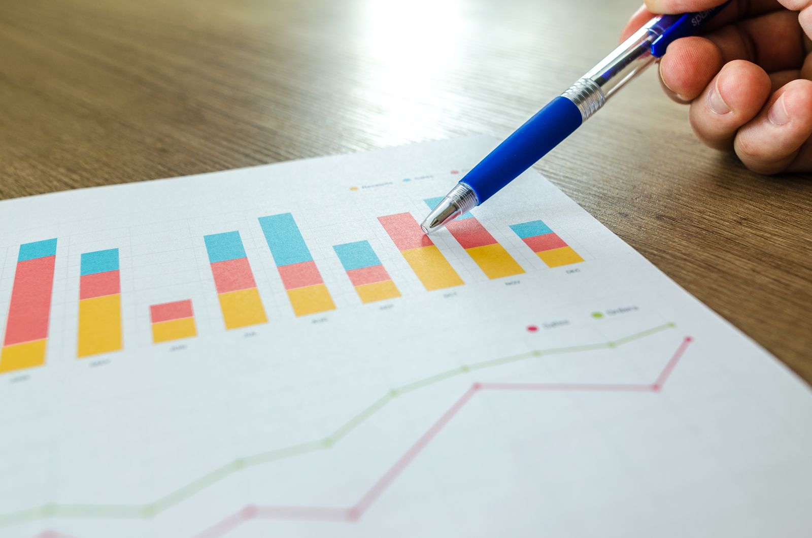 Grafico a barre stampato che mostra l'andamento di un bilancio mensile